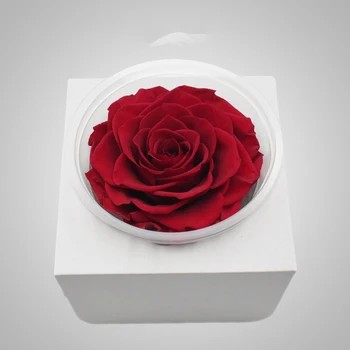 9-10 cm Jediný Nesmrteľný, Ruže Kvet Obrie Rose Valentína Darček Red Rose Večný Ruže Kvet Konzervované Rose Big Red Rose