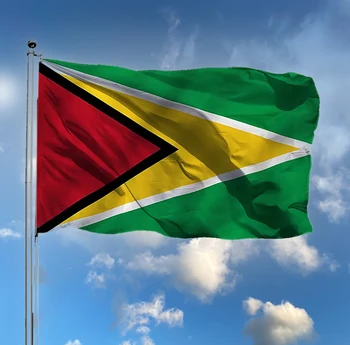 Doprava zadarmo Republika Guyana Vlajka 90x150cm Polyester Dvojité Bočné Vytlačené GY Guyanese Národné Zástavy Na Ozdobu
